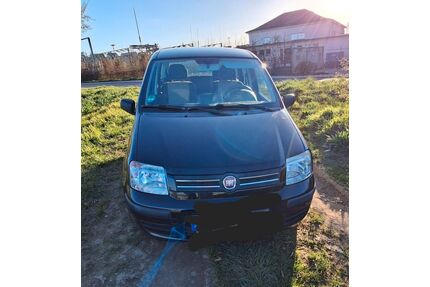 Fiat Panda Gebrauchtwagen