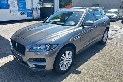Jaguar F-Pace Gebrauchtwagen