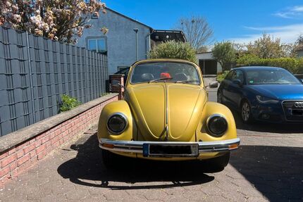 VW Käfer Gebrauchtwagen