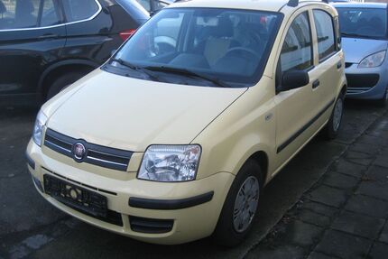 Fiat Panda Gebrauchtwagen