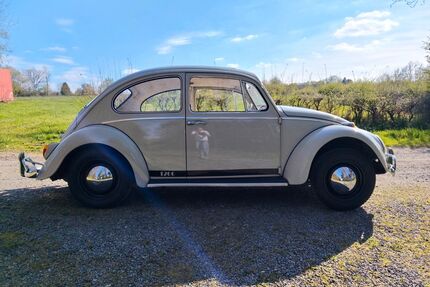 VW Käfer Gebrauchtwagen