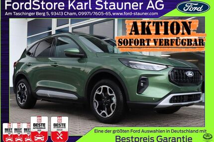 Ford Kuga Gebrauchtwagen