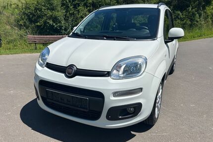 Fiat New Panda Gebrauchtwagen