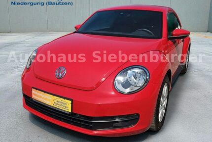 VW Beetle Gebrauchtwagen
