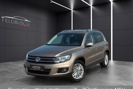 VW Tiguan Gebrauchtwagen