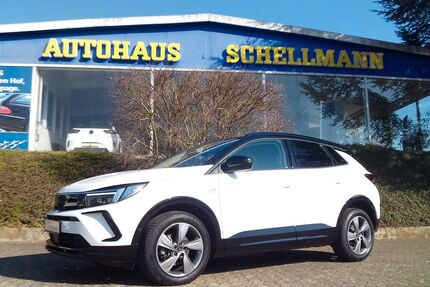 Opel Grandland (X) Gebrauchtwagen