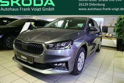 Skoda Fabia Gebrauchtwagen