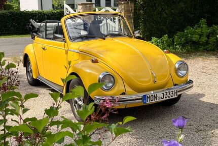 VW Käfer Gebrauchtwagen