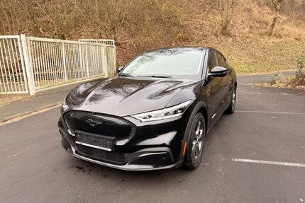 Ford Mustang Mach-E Gebrauchtwagen