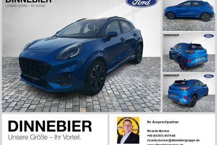 Ford Puma Gebrauchtwagen