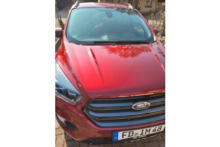Ford Kuga Gebrauchtwagen