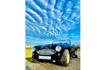 Austin Healey Andere Gebrauchtwagen