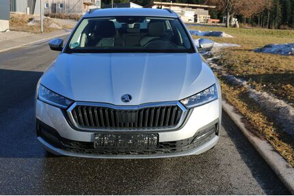 Skoda Octavia Gebrauchtwagen