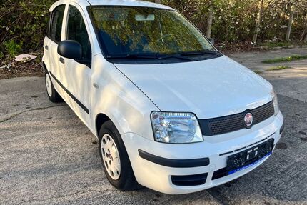 Fiat Panda Gebrauchtwagen