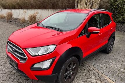 Ford EcoSport Gebrauchtwagen