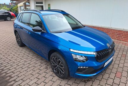 Skoda Kamiq Gebrauchtwagen