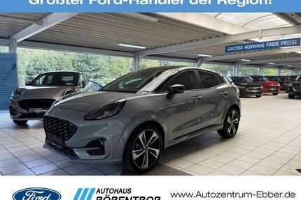 Ford Puma Gebrauchtwagen
