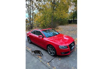 Audi A5 Gebrauchtwagen