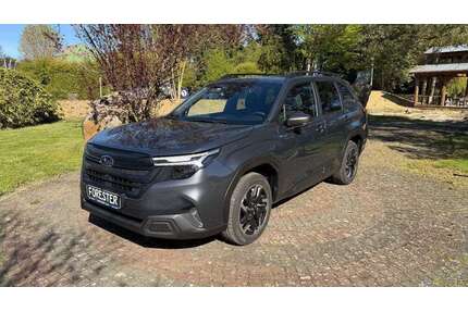 Subaru Forester Gebrauchtwagen
