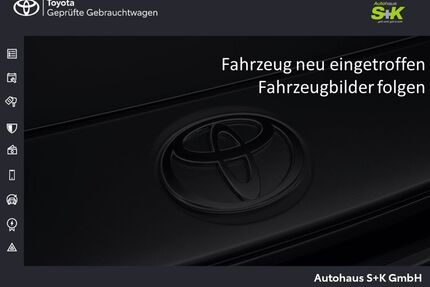 Lexus RX 500 Gebrauchtwagen