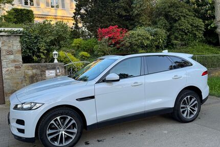 Jaguar F-Pace Gebrauchtwagen