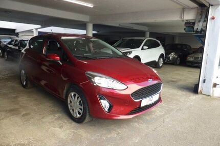 Ford Fiesta Gebrauchtwagen