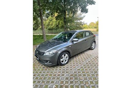 Kia pro ceed / ProCeed Gebrauchtwagen