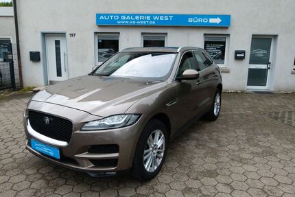 Jaguar F-Pace Gebrauchtwagen