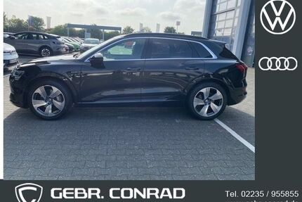 Audi e-tron Gebrauchtwagen