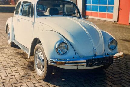 VW Käfer Gebrauchtwagen