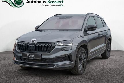 Skoda Karoq Gebrauchtwagen