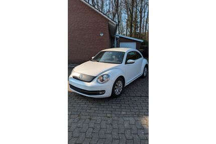 VW Beetle Gebrauchtwagen