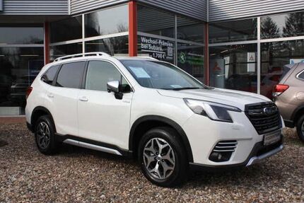 Subaru Forester Gebrauchtwagen