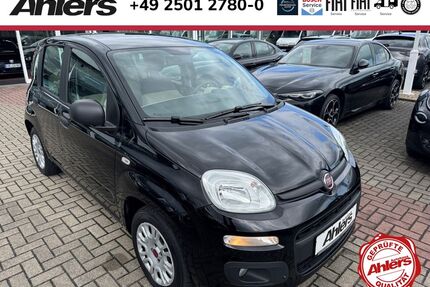 Fiat Panda Gebrauchtwagen