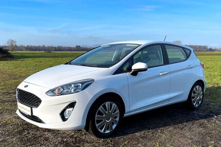 Ford Fiesta Gebrauchtwagen