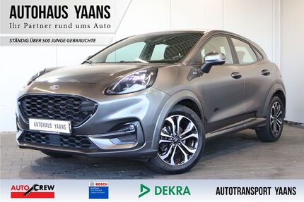 Ford Puma Gebrauchtwagen