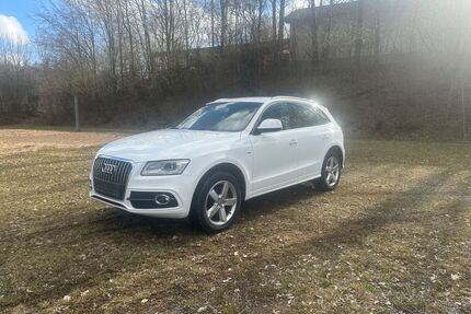 Audi Q5 Gebrauchtwagen