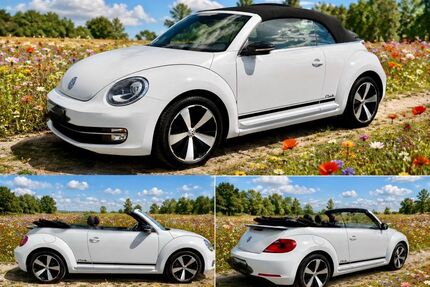 VW Beetle Gebrauchtwagen