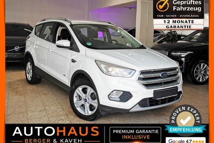 Ford Kuga Gebrauchtwagen