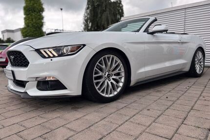 Ford Mustang Gebrauchtwagen