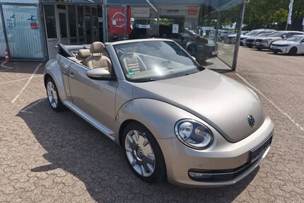 VW Beetle Gebrauchtwagen
