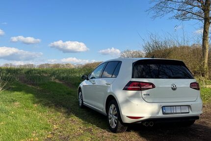 VW Andere Gebrauchtwagen