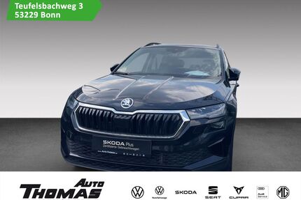 Skoda Karoq Gebrauchtwagen