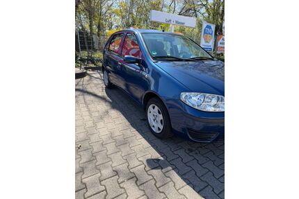 Fiat Punto Gebrauchtwagen