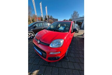 Fiat New Panda Gebrauchtwagen