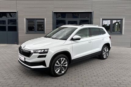 Skoda Karoq Gebrauchtwagen