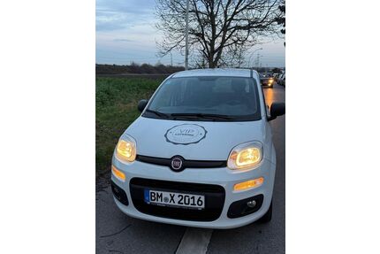 Fiat Panda Gebrauchtwagen