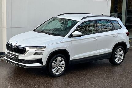 Skoda Karoq Gebrauchtwagen