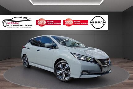 Nissan Leaf Gebrauchtwagen