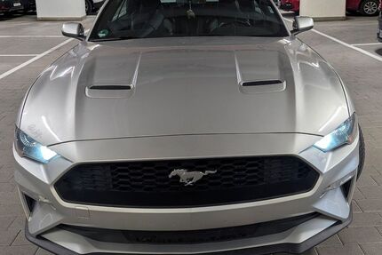 Ford Mustang Gebrauchtwagen